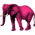 Růžový slon Klipart