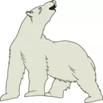 Beruang kutub vektor gambar