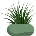 Vectorafbeeldingen van gras geplant in een groene moderne planter