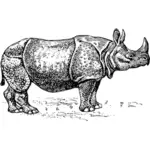 Rinocer ilustrare