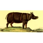 Nosorožec v přírodě