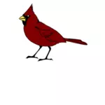 Cardinalul pasăre în miniatură de culoare roşie
