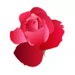 Desenho digital de rosa vermelha