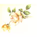 Vintage ruusu koristelu