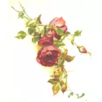 Wild røde roser vektor image