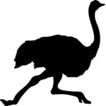 Silueta de avestruz corriendo