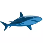 Gambar murni hiu
