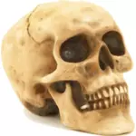 Scary Halloween kafatası vektör küçük resim