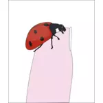 Ladybug on fingertip