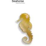 Seahorse ženské Vektor Klipart