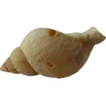 Starý shell