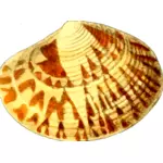 Yellowish sea shell