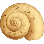 Giallo shell