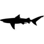 Haai silhouet