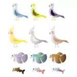 Einfache Farbzeichnung Vögel und Fische