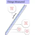 Clipart vetorial de medição régua com explicações