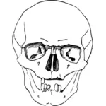 Scary skull sketch