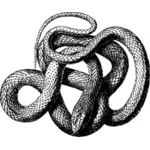 Imagen de serpiente ilustración