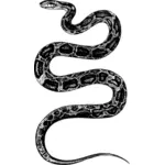 Snake ilustrace