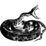 Aanvallende slang