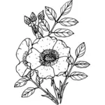 Kolorowe rose symbol