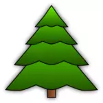 Вечнозеленое дерево изображение