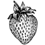 Erdbeer-Gliederung-Vektor-illustration