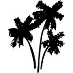 Palms silhuett