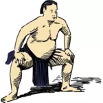 Sumo güreşçisi görüntü