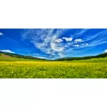 Padang rumput musim semi dan langit biru