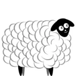 Fluffy sheep