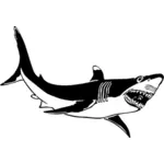 De desen vector de marele rechin alb