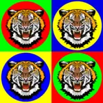 Tiger head on colorful stickers vector image