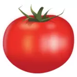 Suculent de tomate