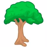 Tree bild