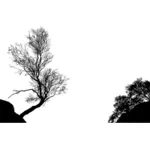 Copaci dilhouette