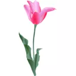 Vector bildet av en tulipan