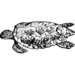 Vektorigrafiikka kilpikonnasta