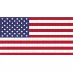 Amerykańską flagę logiczne