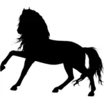 Nezkrotné koně silueta