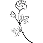 Silhouette vintage rose
