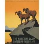 Affiche de tourisme parcs nationaux