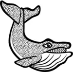 Afbeelding van vlekkerige walvis