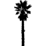 Imagem de vetor de silhueta de árvore de palma