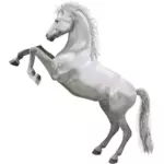 הסוס הלבן