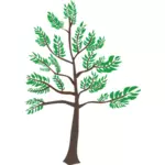 Unge cedar tree illustrasjon