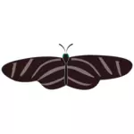 Dibujo de mariposa cebra vectorial
