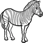 Zebra in black and white vector drawing
