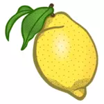 Lemon vector clip art
