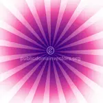 Abstract pink radial beams vector